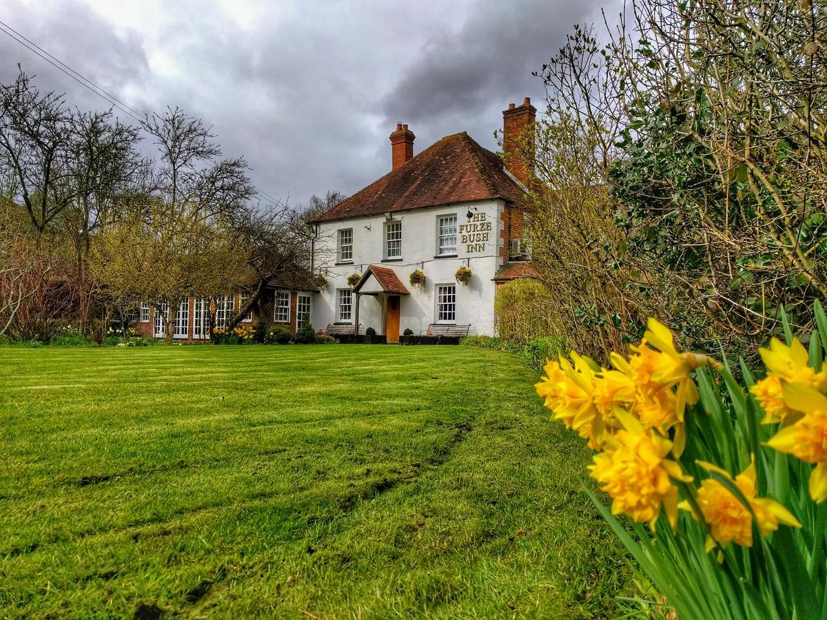 The Furze Bush Inn Newbury  Dış mekan fotoğraf