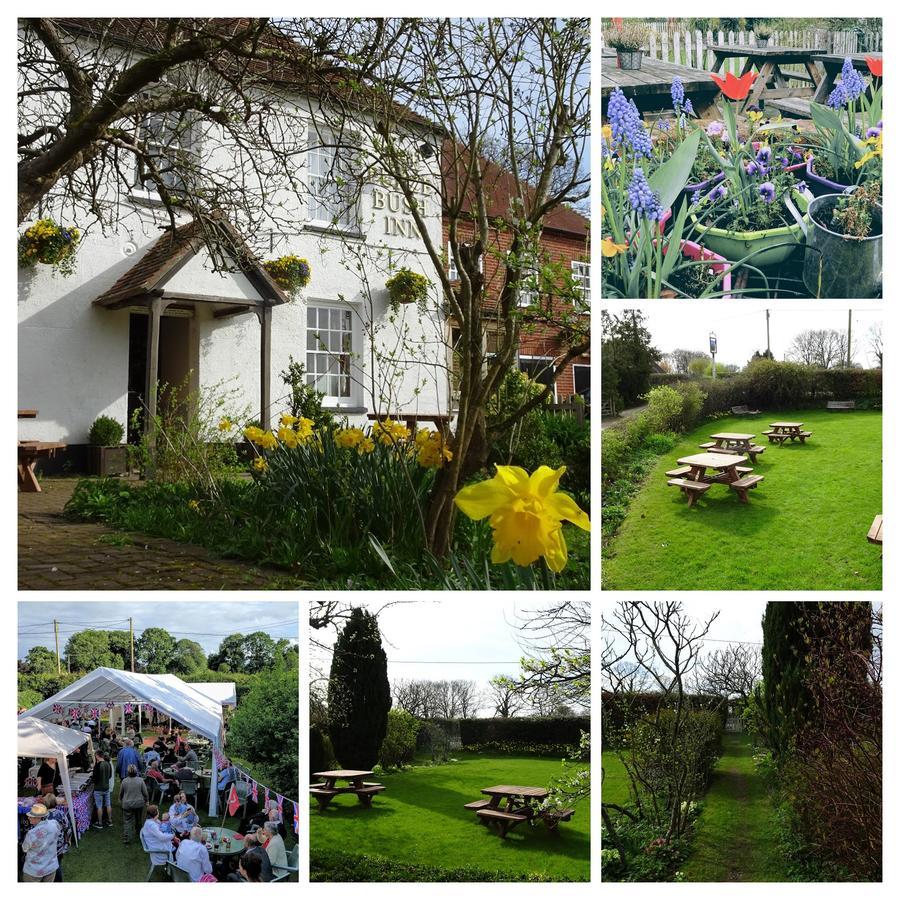The Furze Bush Inn Newbury  Dış mekan fotoğraf